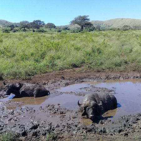 Hotel Hluhluwe Gate Safari Camp Exteriér fotografie